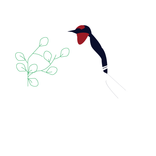 新潟市南区の当店は髪質改善や縮毛矯正、パーマを用いてヘアースタイルの悩みを解決に導きます。